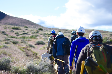 peavine 11.png